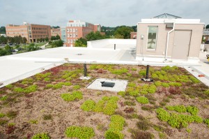 greenroof-patapsco
