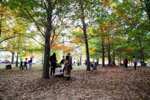 Students in the sculpture garden in the fall.