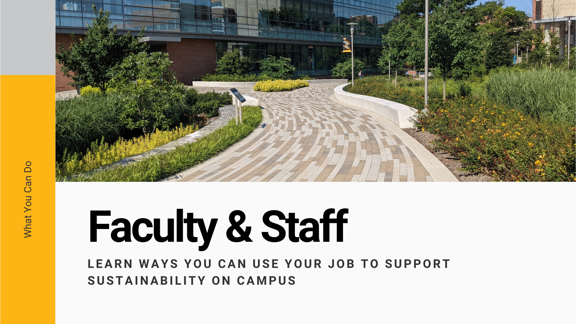 Faculty and Staff: Learn ways you can use your job to support sustainability on campus